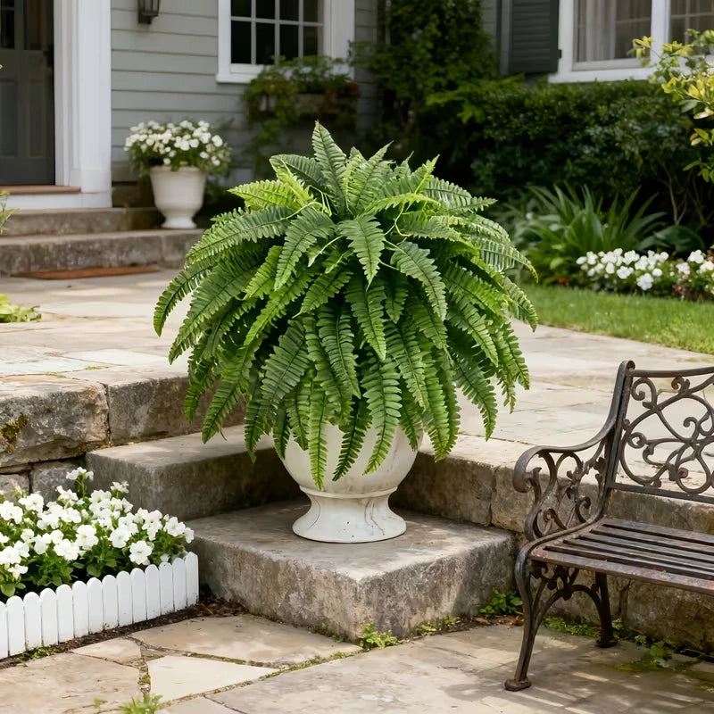 2pc Elegant Boston Fern Plants, 38 Lifelike Leaves