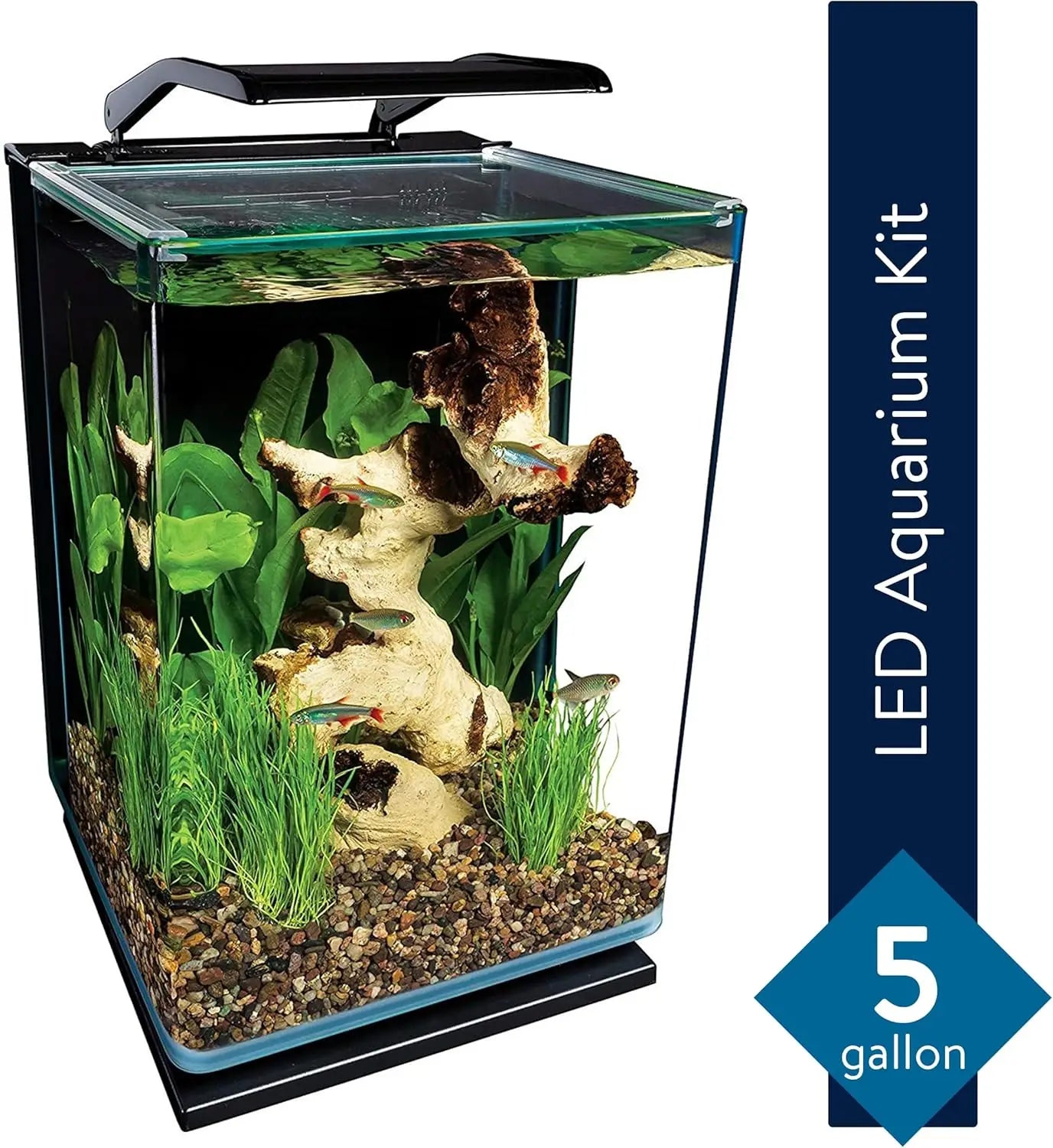 5gl Glass LED Aquarium Kit w/Hidden Filtration, Dual Lighting