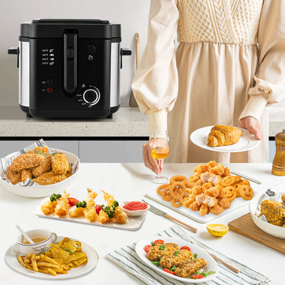 2.5L Large Capacity Countertop Home Fryer for Fried Chicken, Fries