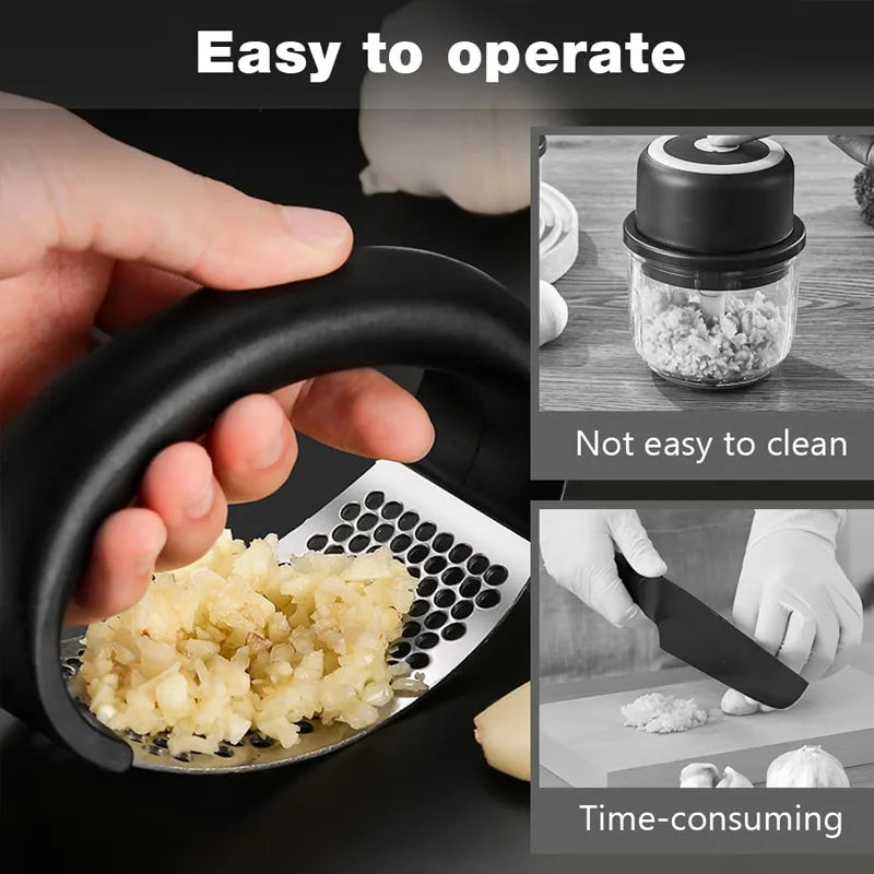 Stainless Steel Press for Garlic, Ginger, Easy Squeeze,