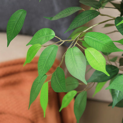 Artificial Silk Ficus Trees with Natural Curved Trunks