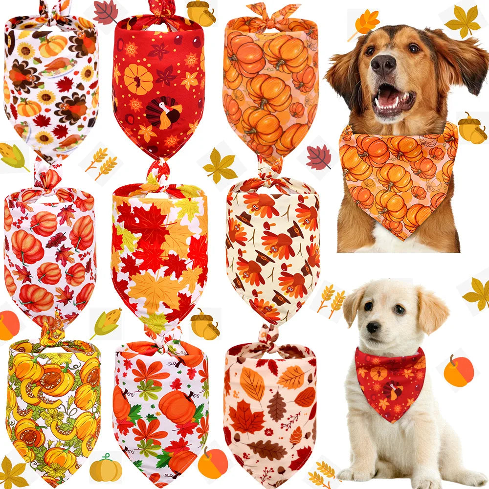 THANKSGIVING DOG CLOTHING