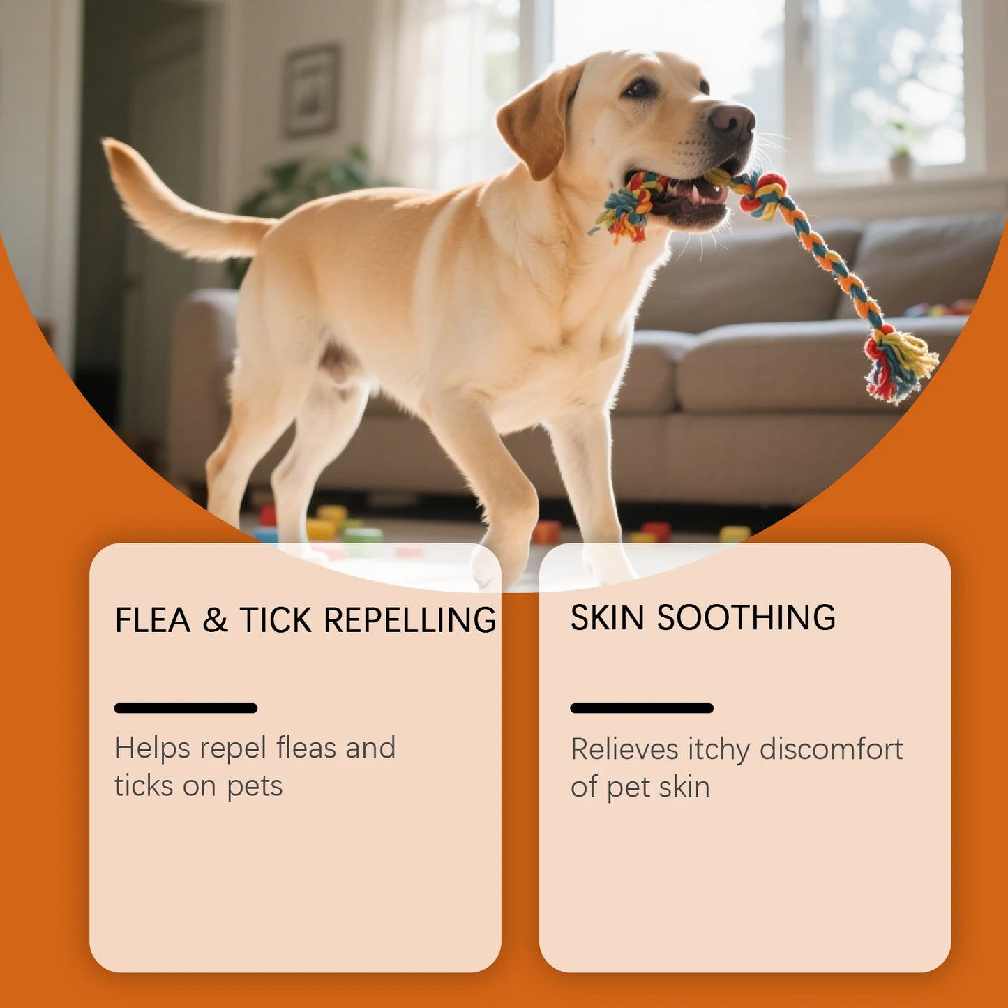Gentle Anti Flea Tick Dog, Cat Grooming Shampoo