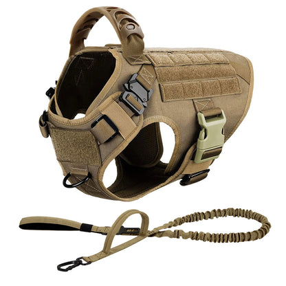 Various Size Dog Harness and Leash Set, Training Walking Vest