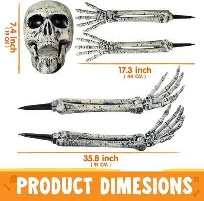 5pc Halloween Skeleton, Life Size Skeleton, Yard Stakes