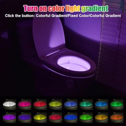 2pc Motion Sensor LED Toilet Night Lights, w/Star Projector, 16 Colors Changing