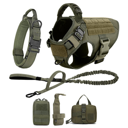 Various Size Dog Harness and Leash Set, Training Walking Vest