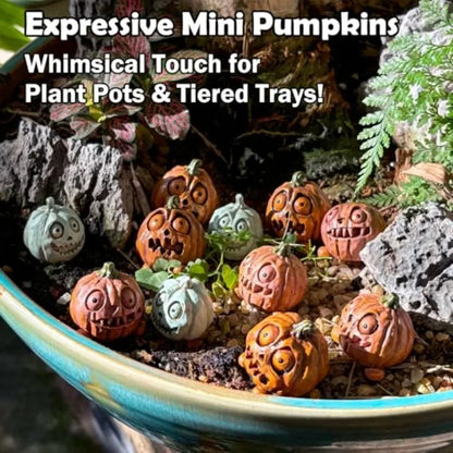 12pc Halloween/Thanksgiving Small Pumpkins Plant Decorations