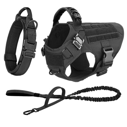 Various Size Dog Harness and Leash Set, Training Walking Vest