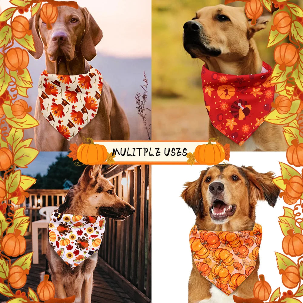 THANKSGIVING DOG CLOTHING