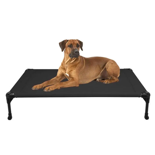 Outdoor Elevated Dog Bed, Training Platform