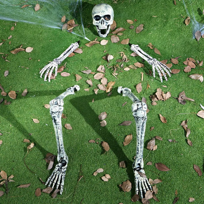 5pc Halloween Skeleton, Life Size Skeleton, Yard Stakes