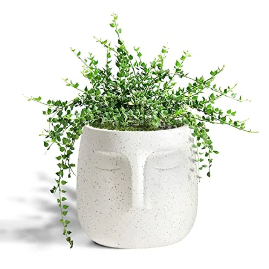 Head Ceramic Face Planter, Modern Flower Vase, Windowsill
