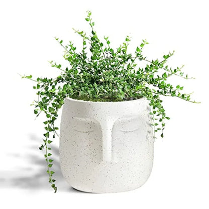 Head Ceramic Face Planter, Modern Flower Vase, Windowsill