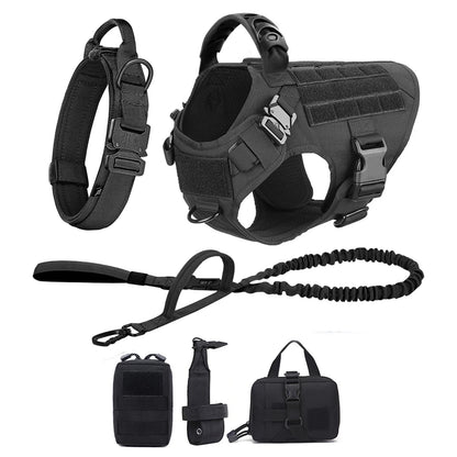 Various Size Dog Harness and Leash Set, Training Walking Vest