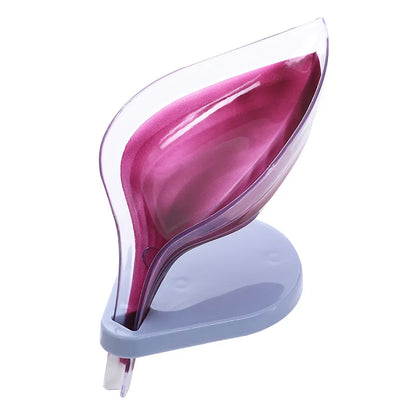 Creative Soap, Sponge Holder w/Drain, Suction Cup