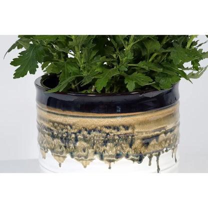 Round Black Ceramic Plant Pot for Indoor Outdoor Plants