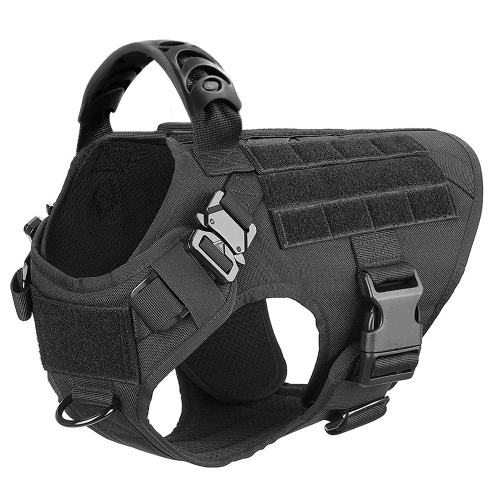 Various Size Dog Harness and Leash Set, Training Walking Vest