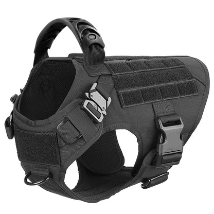 Various Size Dog Harness and Leash Set, Training Walking Vest