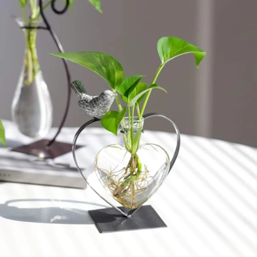 Modern Creative Desktop Glass Vase, Plant Terrarium Metal Stand