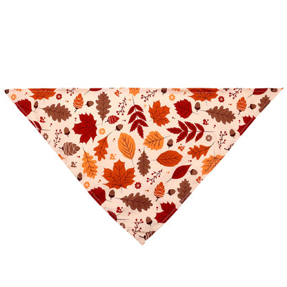 THANKSGIVING DOG CLOTHING