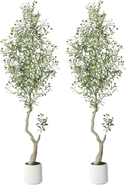 Artificial Olive Tree w/White Planter, Green Artificial Moss