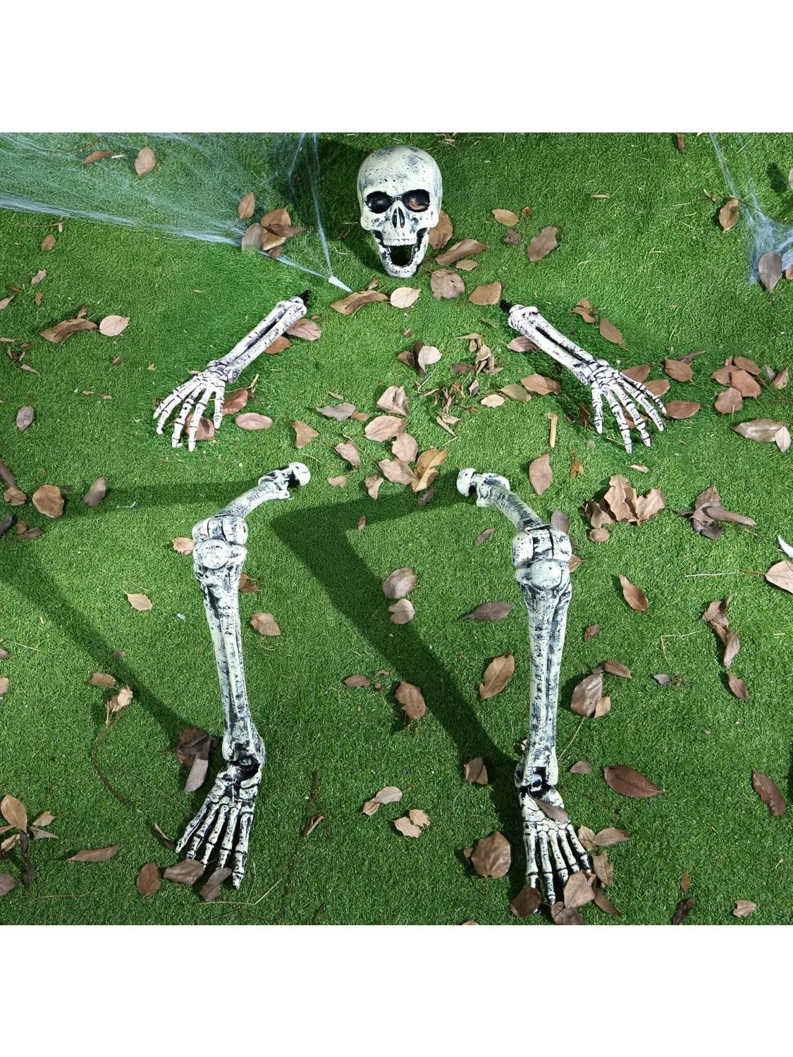 5pc Halloween Skeleton, Life Size Skeleton, Yard Stakes
