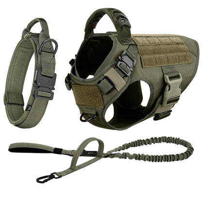 Various Size Dog Harness and Leash Set, Training Walking Vest