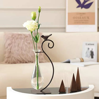 Modern Creative Desktop Glass Vase, Plant Terrarium Metal Stand