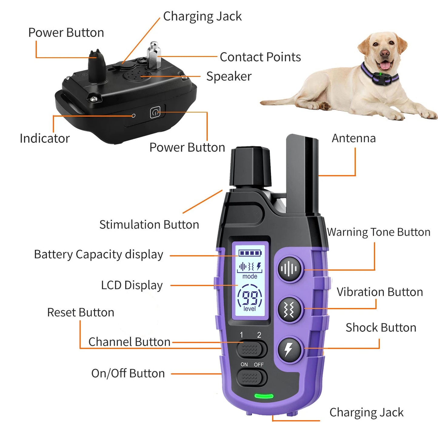3300' Waterproof Dog Training Collar for 5-120lbs w/Remote Control
