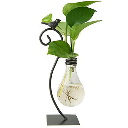 Modern Creative Desktop Glass Vase, Plant Terrarium Metal Stand