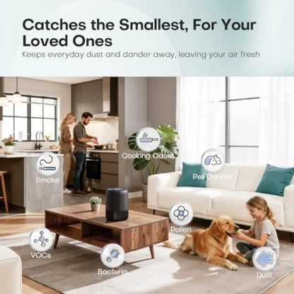 2pk, High Efficiency Air Purifiers for Dust, Pollen, Smoke, Odor's w/Fragrance Sponge