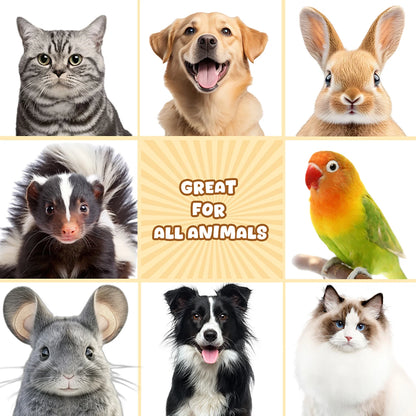 Pet Shower Gel Shampoo, Dry Cleaning Foam Without Rinse