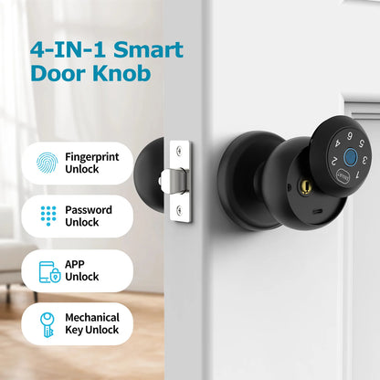 Electronic Touchscreen Smart Lock, Fingerprint