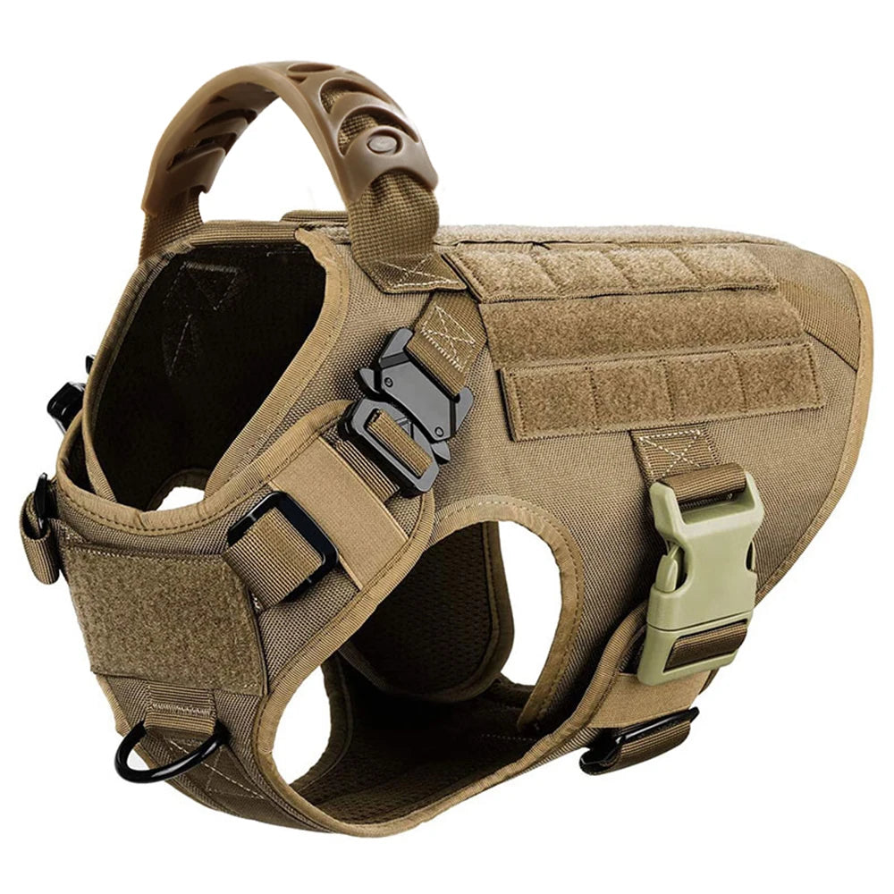 Various Size Dog Harness and Leash Set, Training Walking Vest