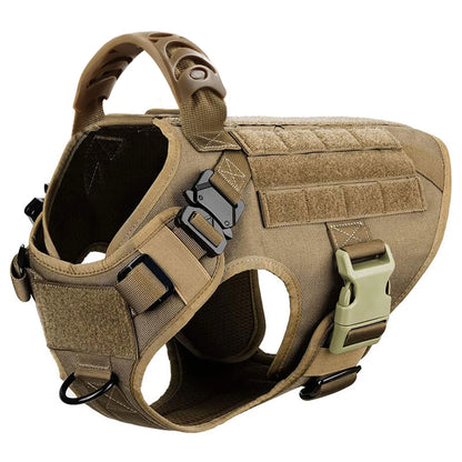 Various Size Dog Harness and Leash Set, Training Walking Vest
