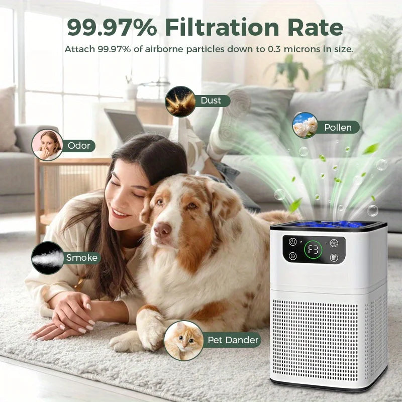 2pk Quiet Air Purifier for Pets, Dust, Odor, Smoke, Aromatherapy Function,