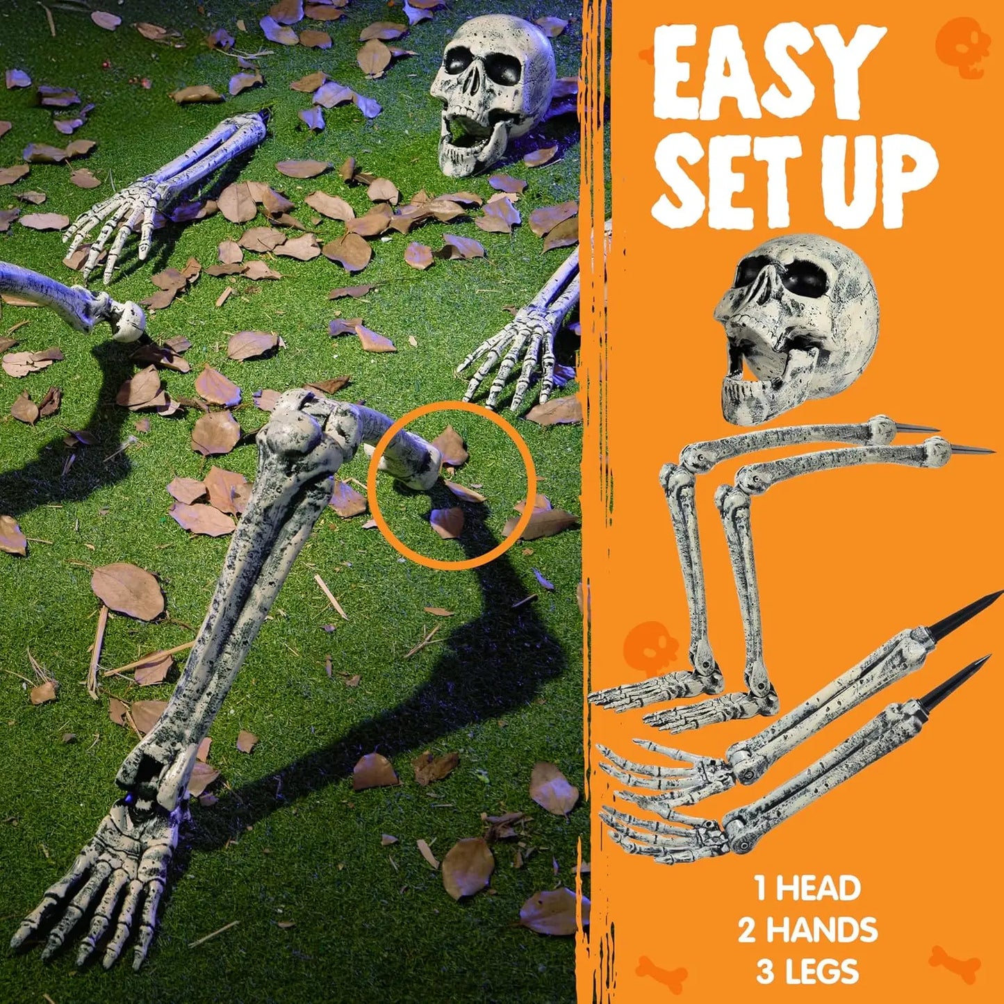 5pc Halloween Skeleton, Life Size Skeleton, Yard Stakes