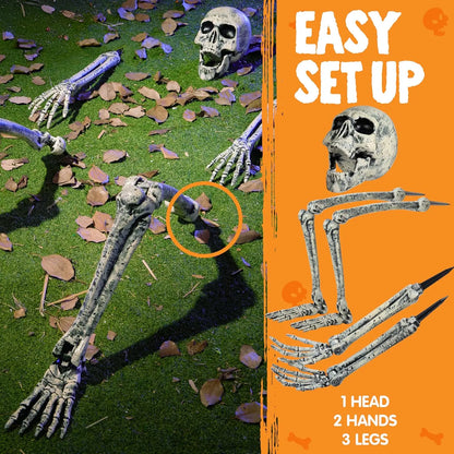5pc Halloween Skeleton, Life Size Skeleton, Yard Stakes