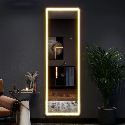 63"x20" Full Length Lighted Floor Mirror w/Stand