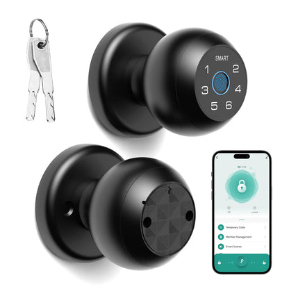 Electronic Touchscreen Smart Lock, Fingerprint