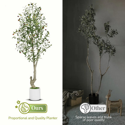 Artificial Olive Tree w/White Planter, Green Artificial Moss