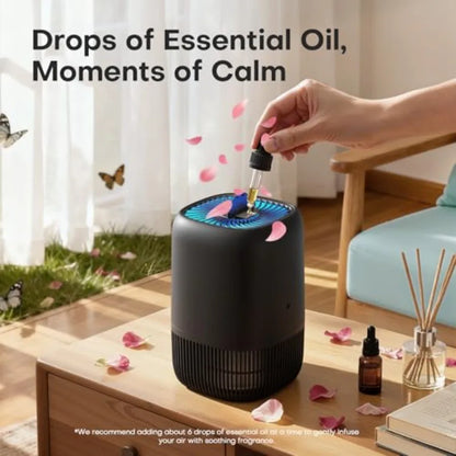2pk, High Efficiency Air Purifiers for Dust, Pollen, Smoke, Odor's w/Fragrance Sponge